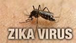 Zika virus...